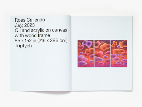 Ross Caliendo, Horizon Pupil, Catalogue. 